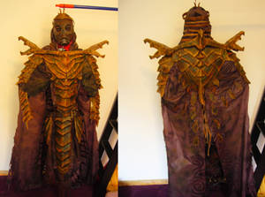 my Dragon Priest costume is finally finished