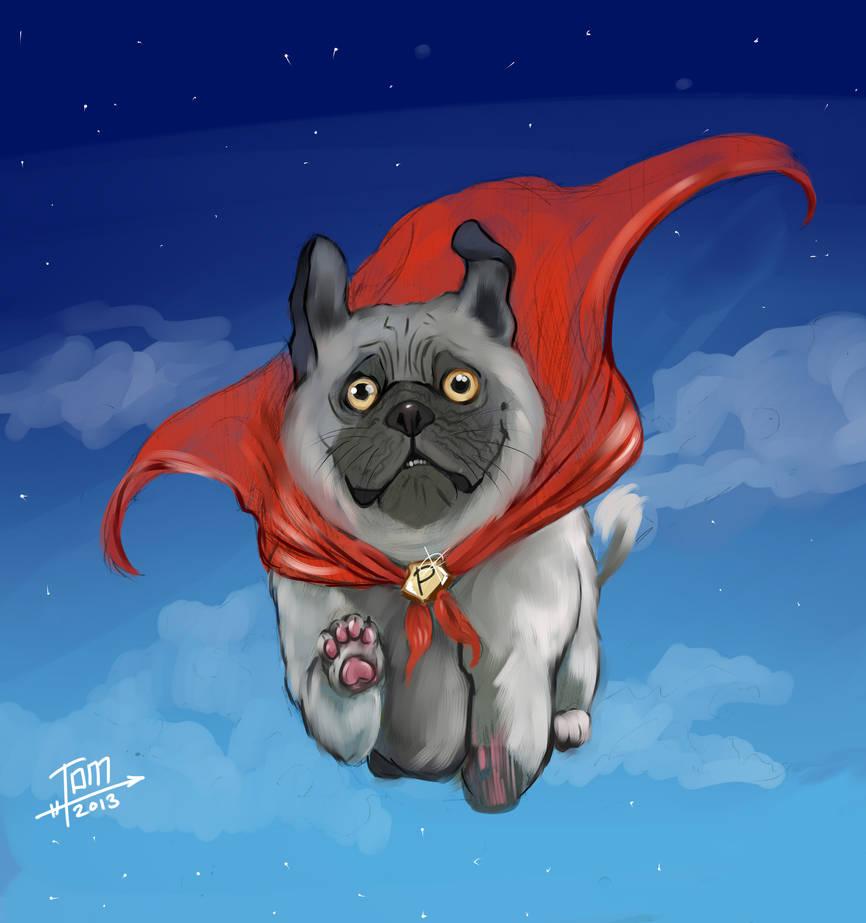 Mega Pug super pug by Tom-Arrow on DeviantArt
