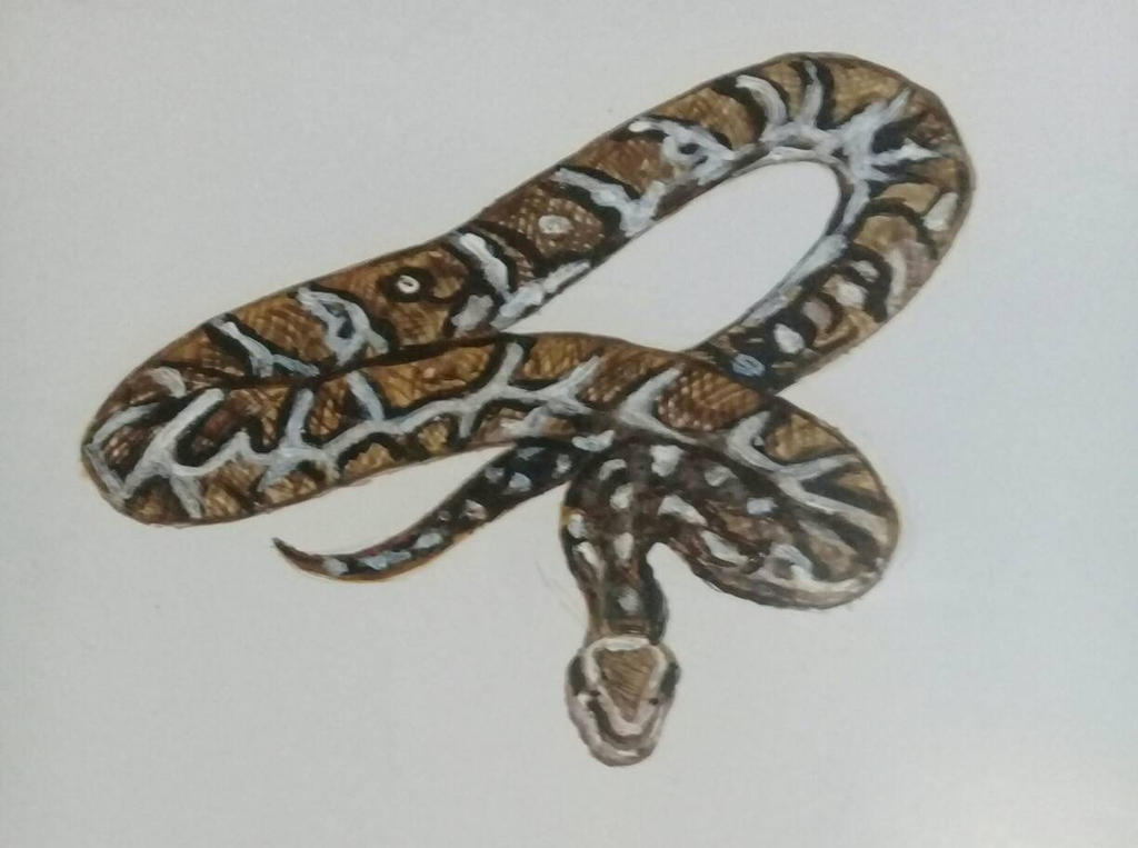 python by janathsenavi on DeviantArt