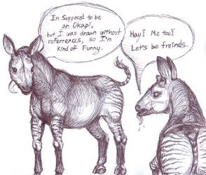 Funny Okapis