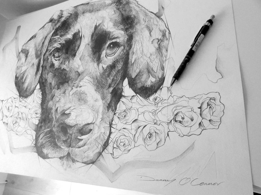 Labrador Drawing by ART-BY-DOC on DeviantArt