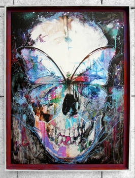 Butterfly Skull Framed