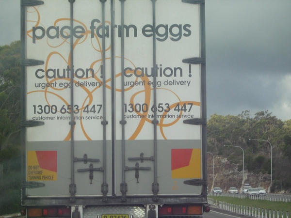 Caution: Urgent Egg Delivery..