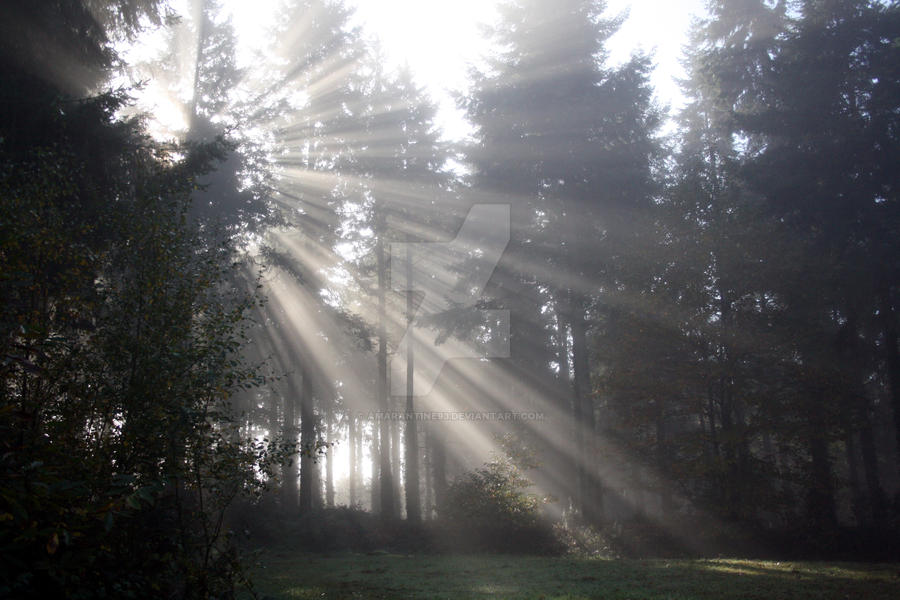Beaming About Beaming Light by amarantine93 on DeviantArt