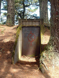 Bunker Door