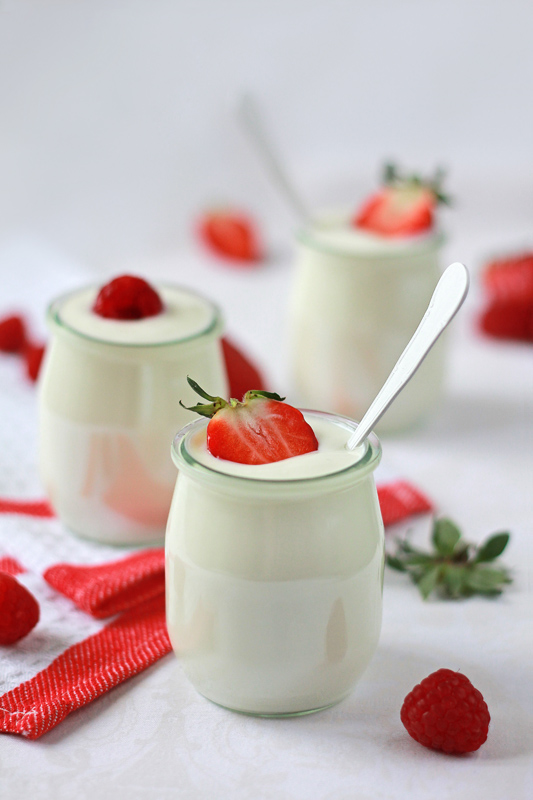 Yogurt with berries by LilyBrilliant
