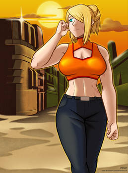 Zero Mission - Sunset End Screen