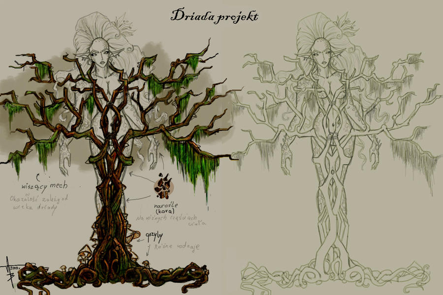 Driad Oc Rocks Driad by Agusia1986 on DeviantArt