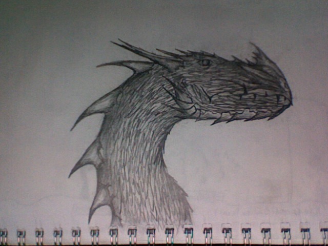 Dragon Head, Profile.