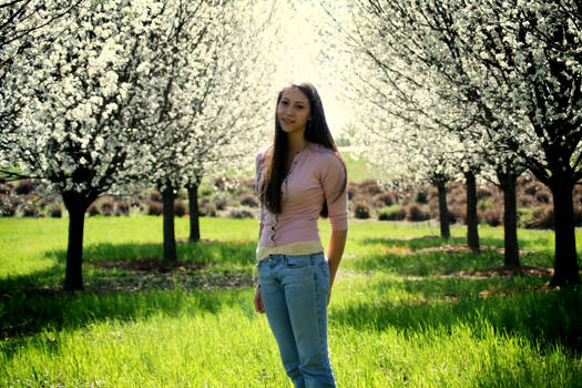 Cherry Blossom Girl