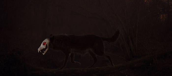 Wolf Spirit