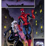 Spidey and Black Cat