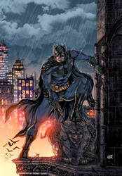 Rainy day in Gotham!