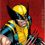 Wolverine PSC
