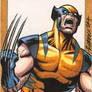 Another Wolvie PSC