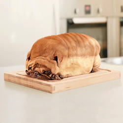 Bread pug
