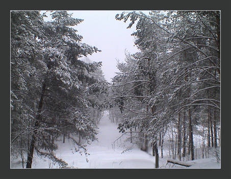 Winter in Lithuania