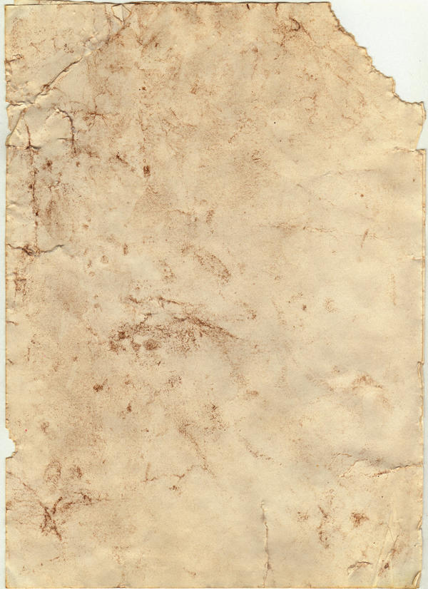 Scroll Texture Rough Old Scroll Texture by Esther-Sanz on DeviantArt