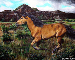 Palo Duro Mustang