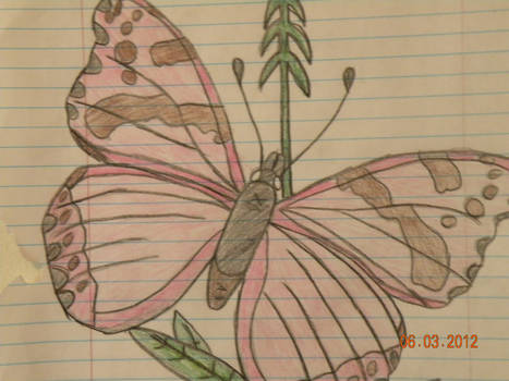Butterfly (Version 1)
