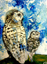 Owl Perch