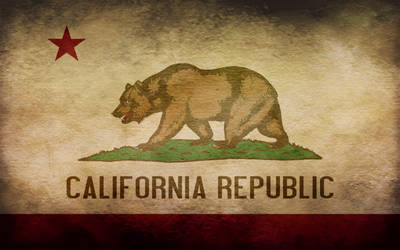 California Grunge Flag