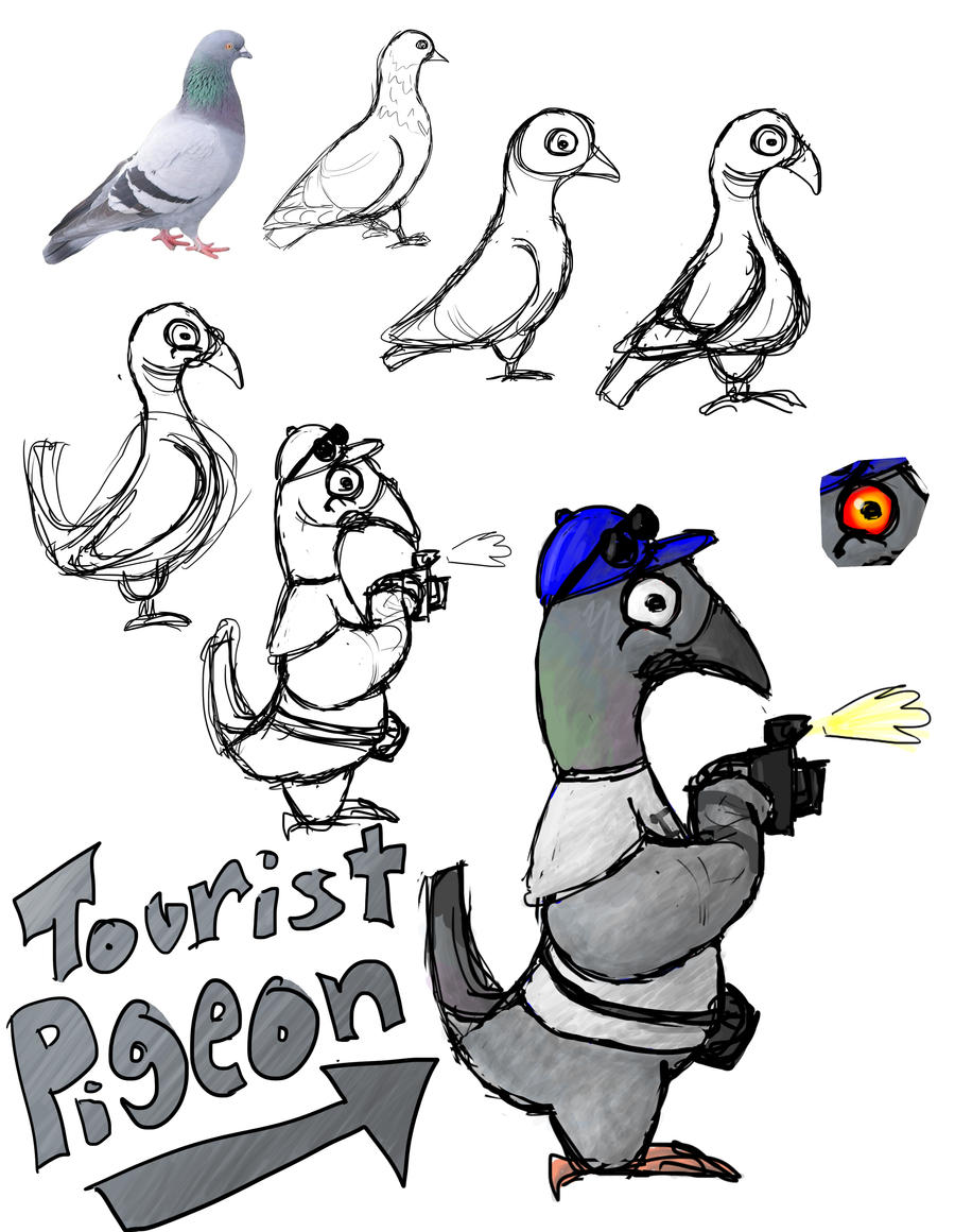 Tourist Pigeon