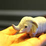 Tiny elephant in a Big world