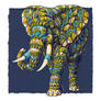 Ornate Elephant 4.0