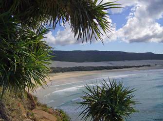 The Beach at Frasier Island