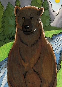 Grizzly Bear ATC