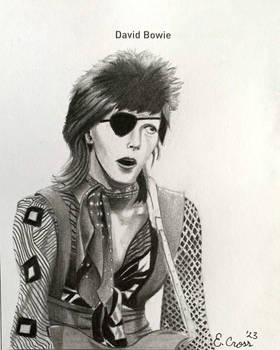 642 Things to Draw: David Bowie