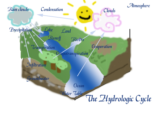 Hey Its the Hydrologic Cycle