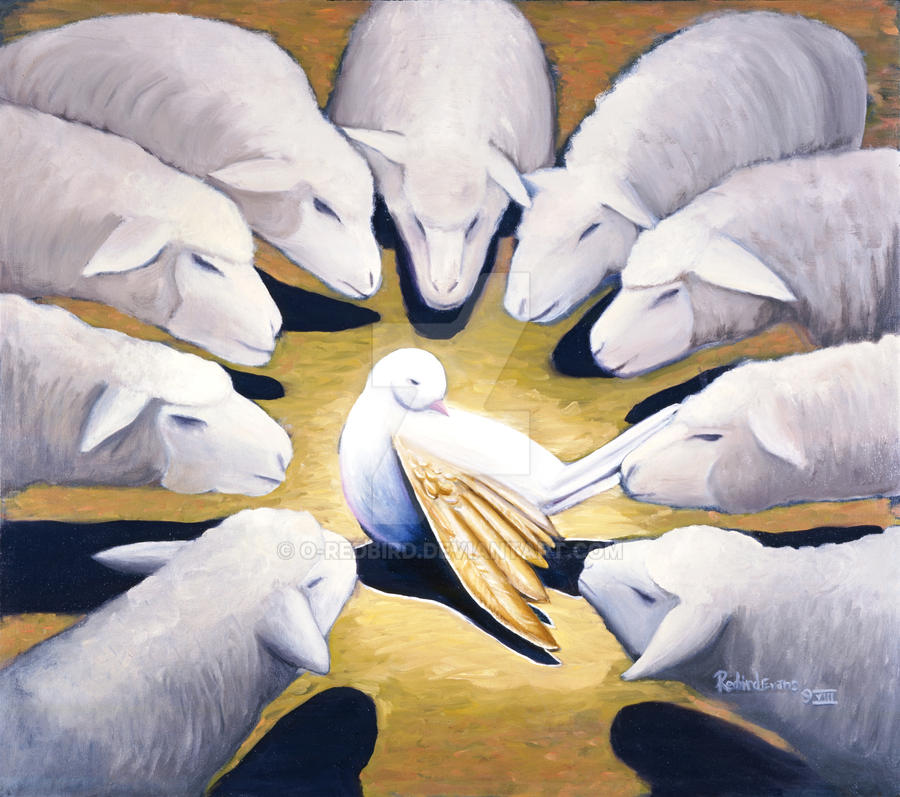 SHEEPFOLD By O Redbird On DeviantArt