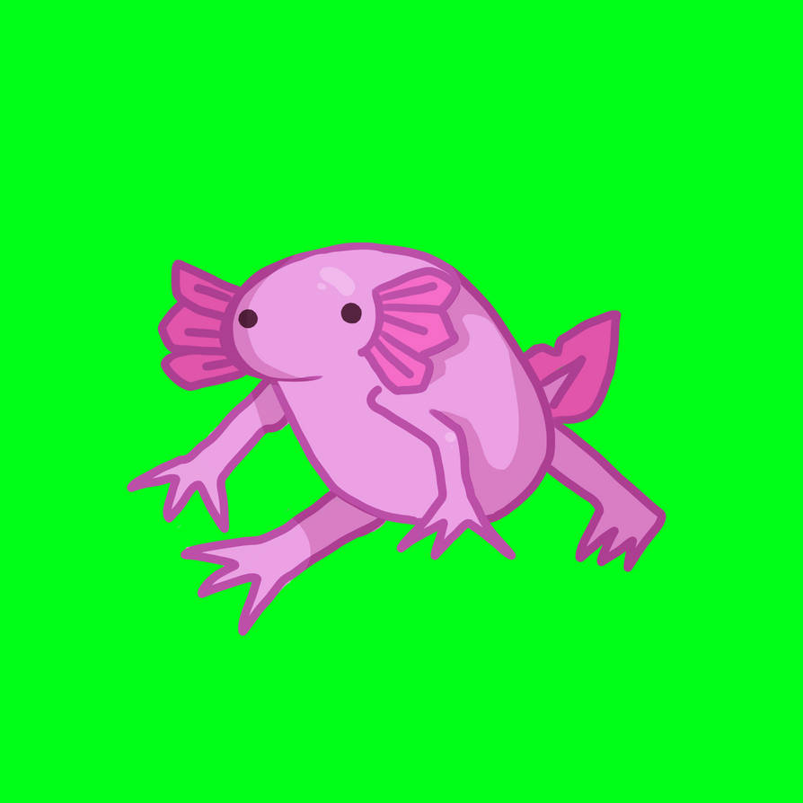 Axo by ImagiNyan on DeviantArt