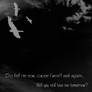 Will you still love me?