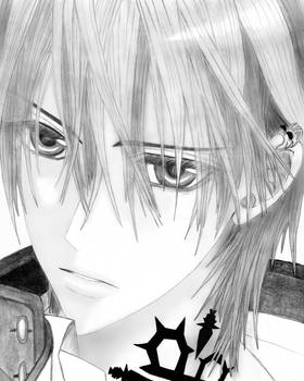 Zero, Vampire Knight