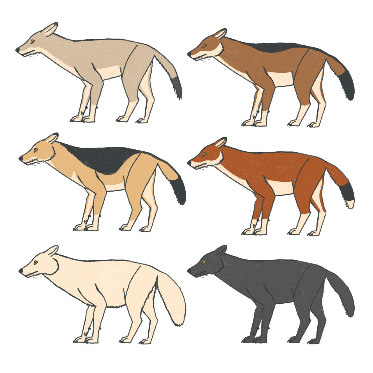 Dire Color Dire Wolf Color Variations 1 by The13thCrow on DeviantArt