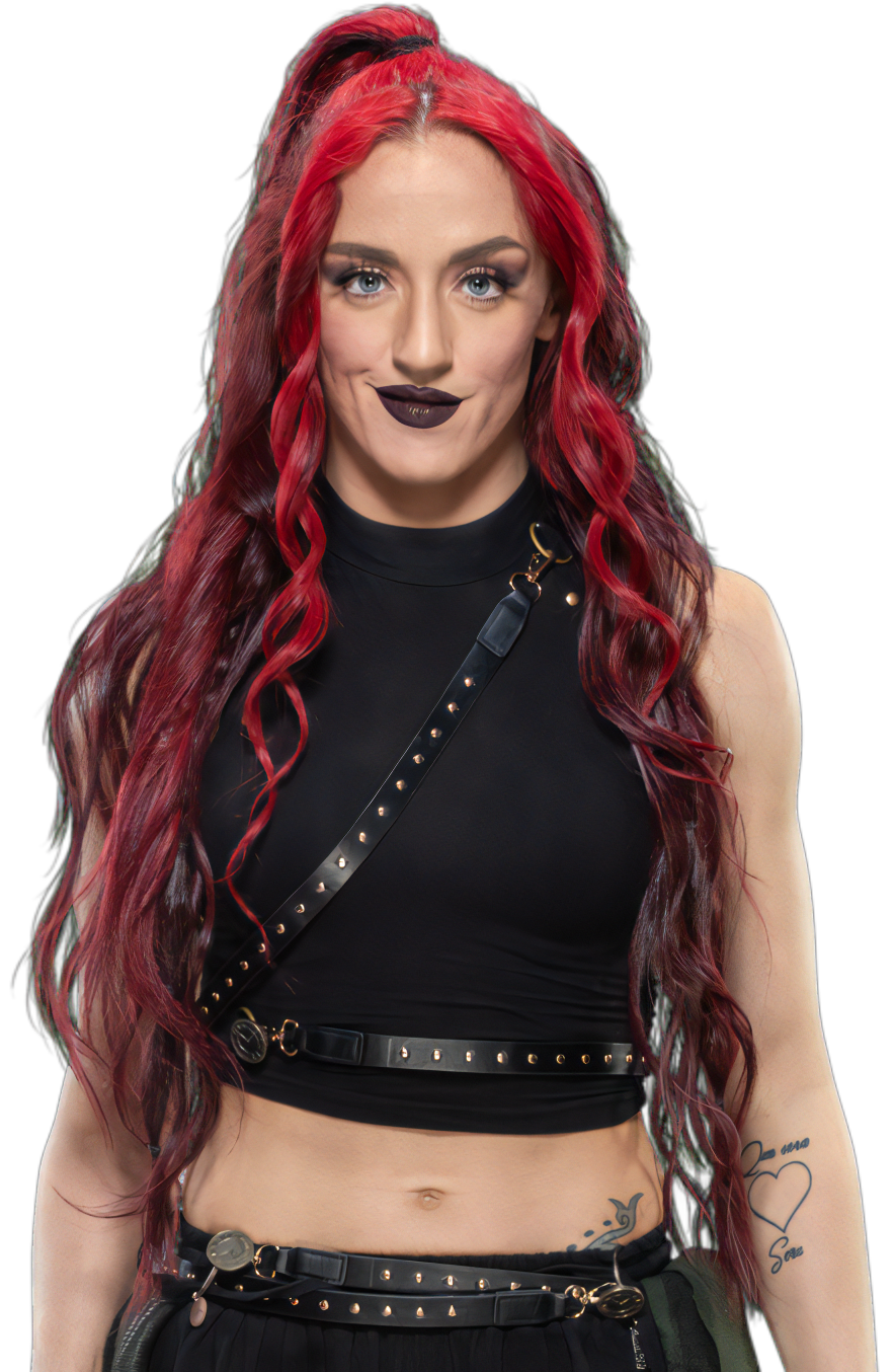 Becky Lynch *OFFICIAL* NXT Women's Champ render by babuguuscooties on  DeviantArt