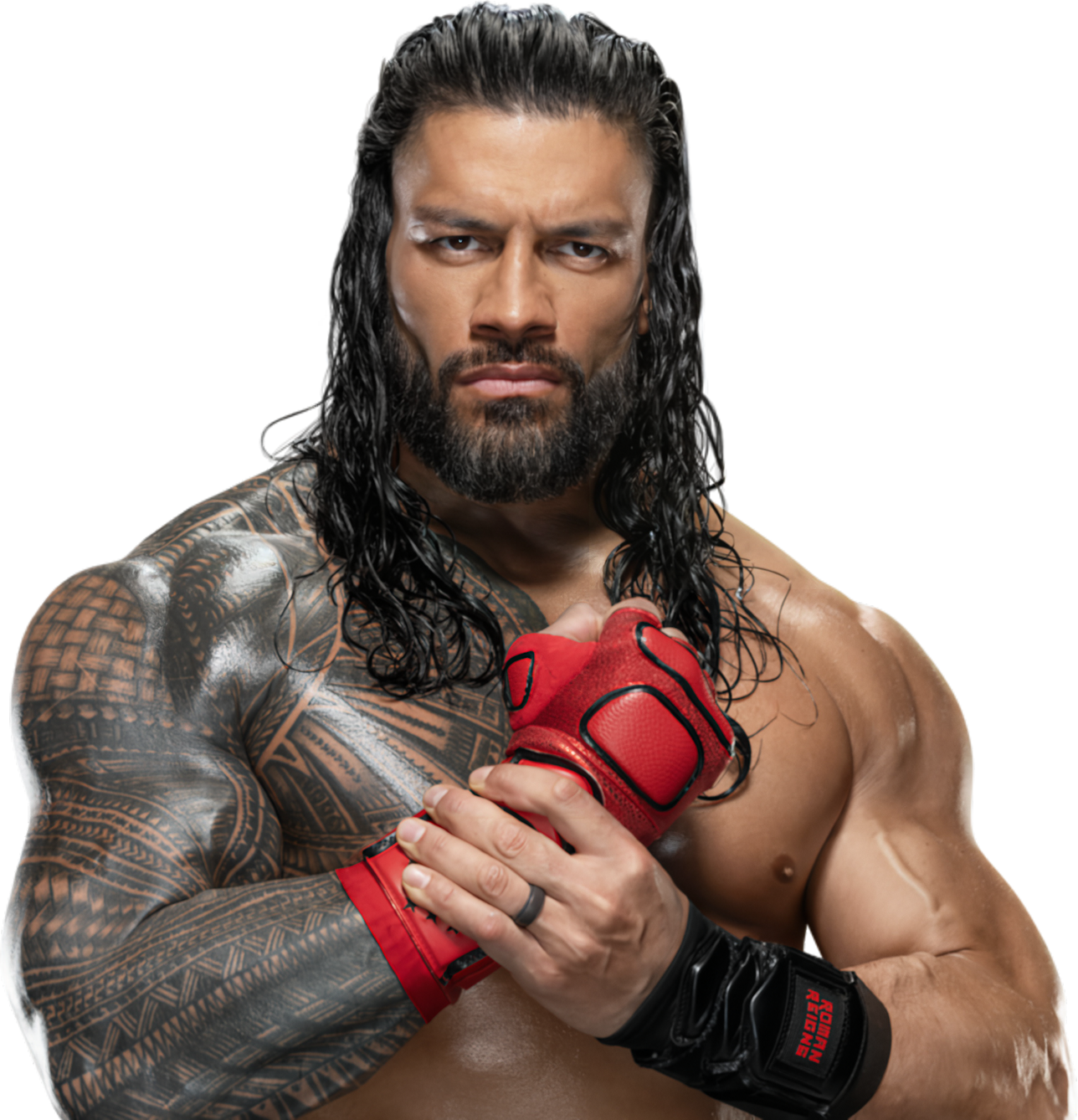 Roman Ranse Roman Reigns *OFFICIAL* WWE render '24 by babuguuscooties on DeviantArt