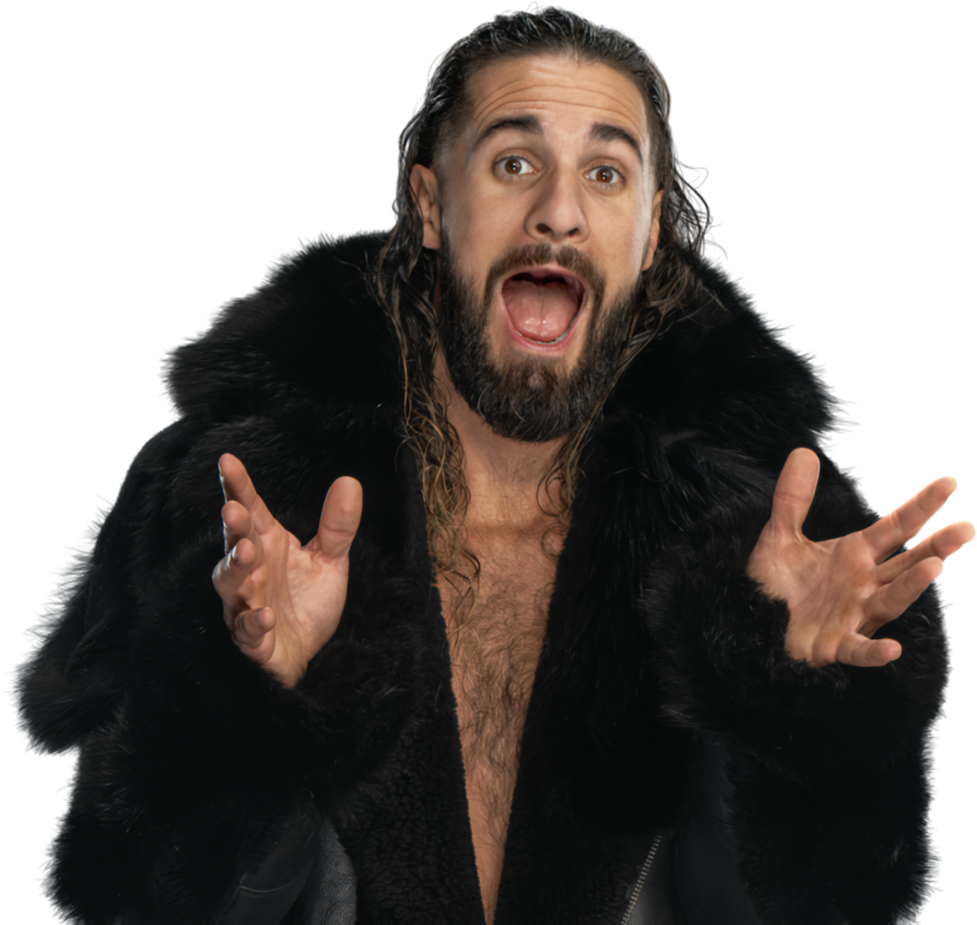 Seth 'Freakin' Rollins *OFFICIAL* WWE render '24 by babuguuscooties on ...