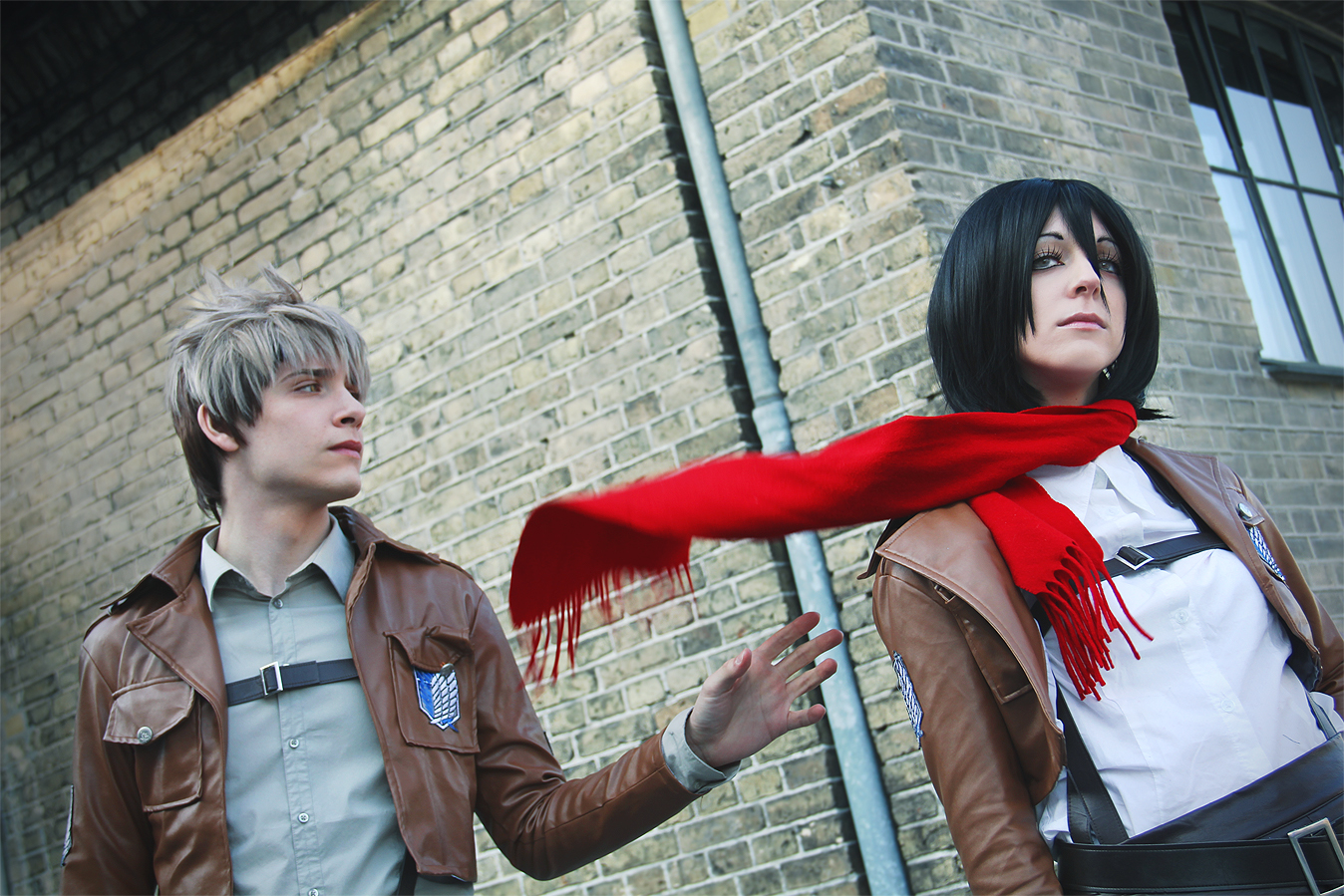 Jean and Mikasa, They call this Friendzone