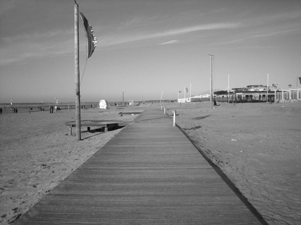 Beach 6, Black and White