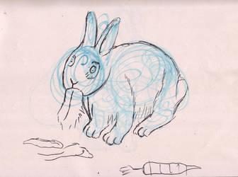 Rabbit 1