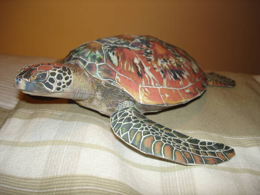 Sea Turtle Papercraft
