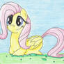 Fluttershy