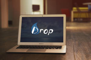 Drop Logotype