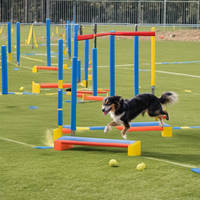 Agility Course