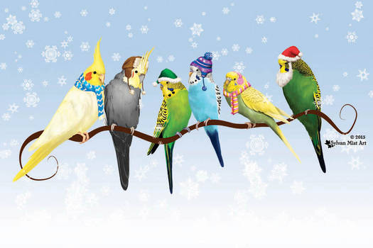 Christmas Parakeets and Cockatiels