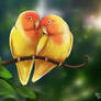 Lutino Lovebirds in the forest